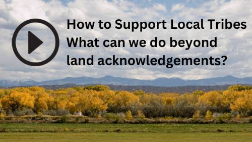 What can we do beyond land acknowledgements?
