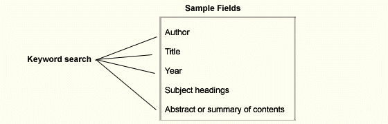 keyword fields