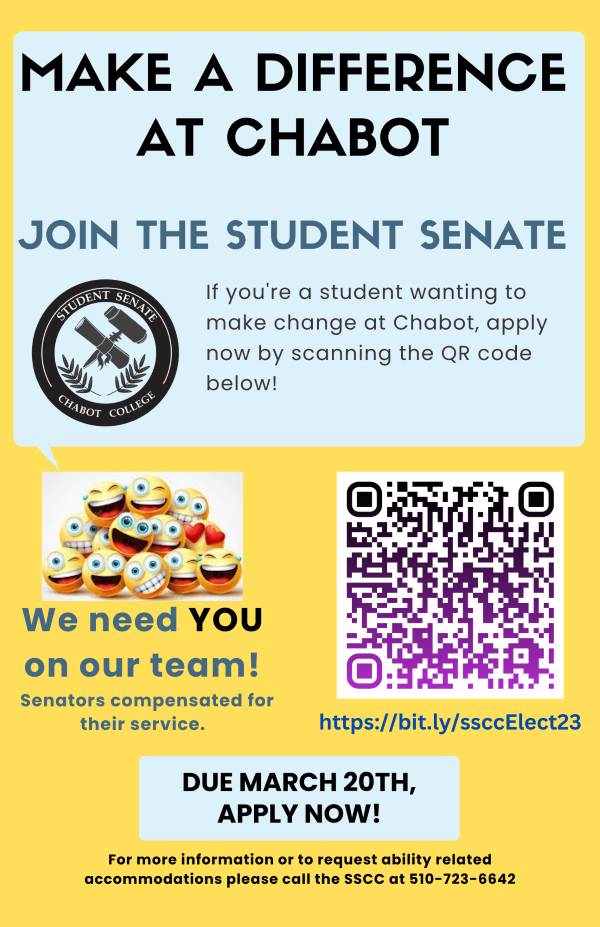 election flyer